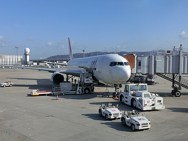 B767-300/JA8976Ǥ