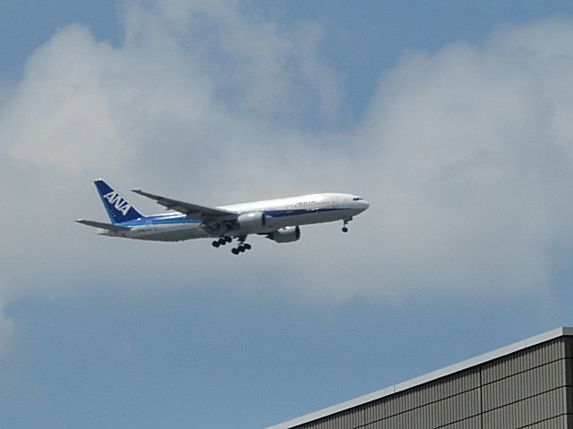 B777-300Ǥ