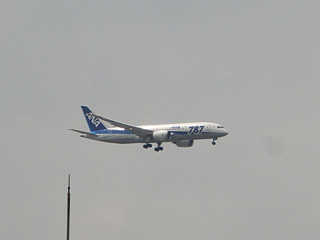 ANAB787-8Ǥ