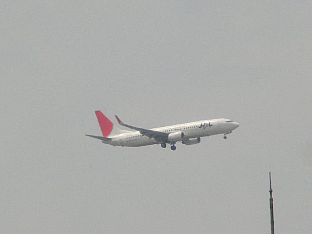 JALB737-800Ǥ