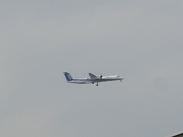 ANADHC-8-Q400Ǥ