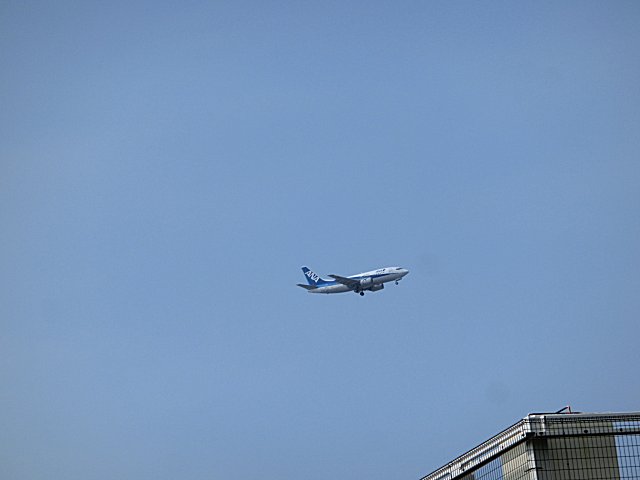 ANA󥰥B737-500Ǥ