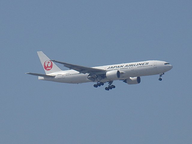 JAL B777-246Ǥ