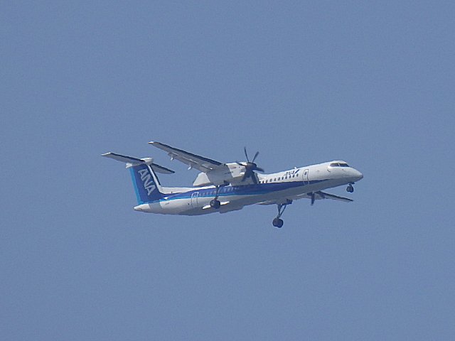 ANA DHC-8-Q400Ǥ