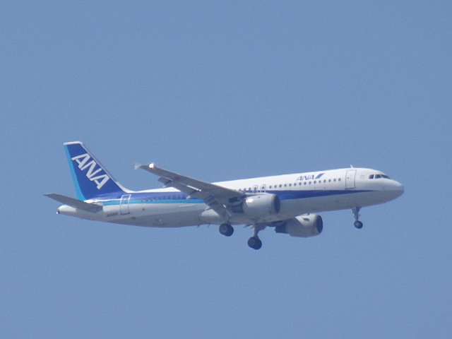 ANA A320Ǥ