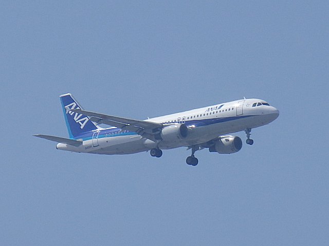 ƤANA A320Ǥ