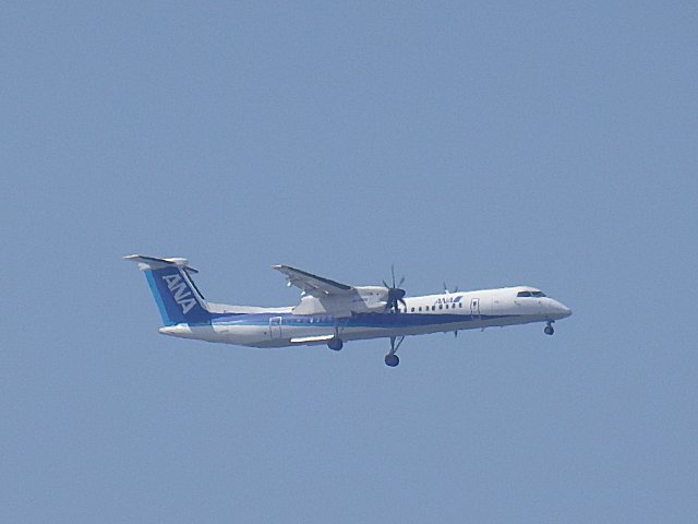 ƤANA DHC-8-Q400Ǥ