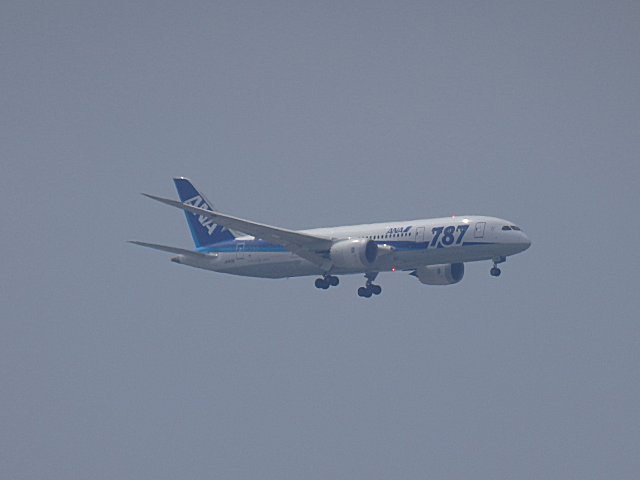 ANAB787-8Ǥ