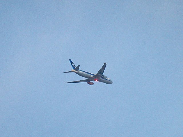 ANAB767-300Ǥ