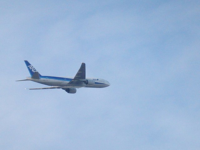 ANAB777-300Ǥ