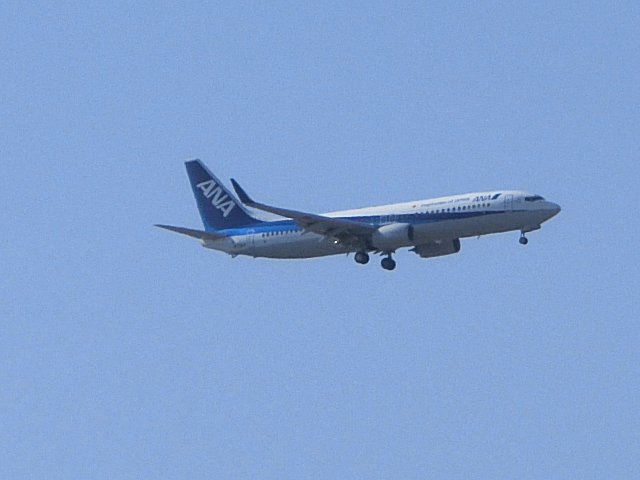 ANA B737-800 Inspration Of Japan号です。 ANA B737-800 Inspration Of Japan号です。