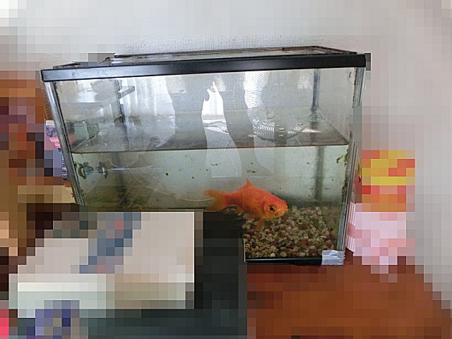 見違えるほど綺麗になりました。 見違えるほど綺麗になりました。