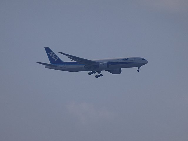 ANA/JA8197 B777-200Ǥ