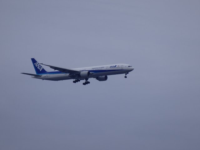 ANA/B777-300Ǥ