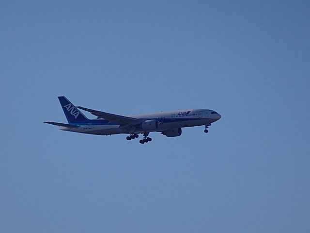 B777-200Ǥ