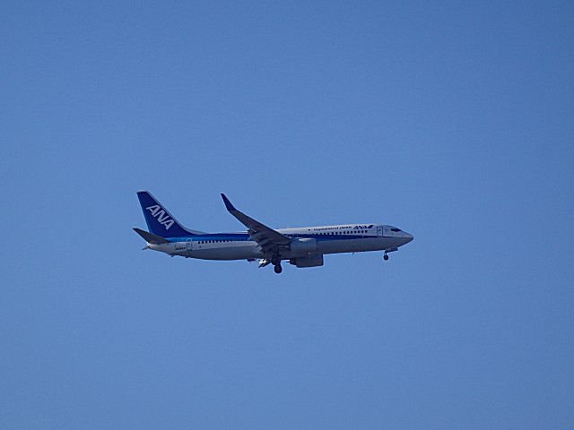 A320-200θѵǤB737-800Ǥ