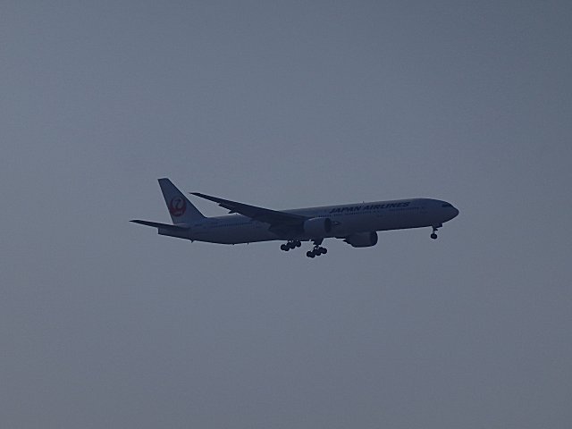 B777-300Ǥ