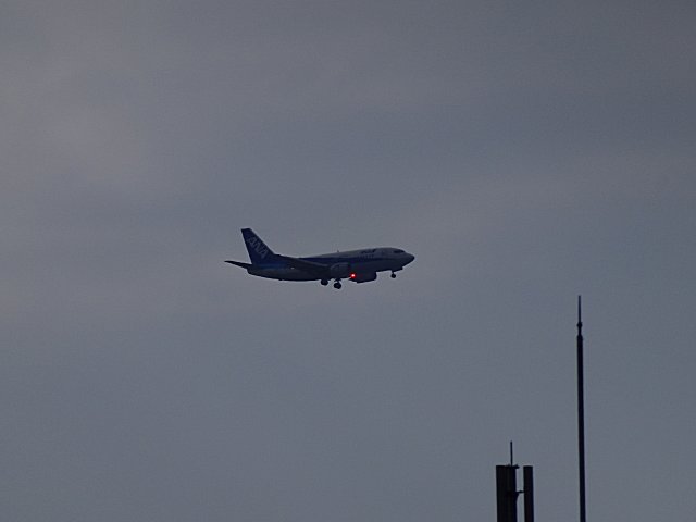 ɻǤƿANA WINGS B737-500ѡɥեǤ