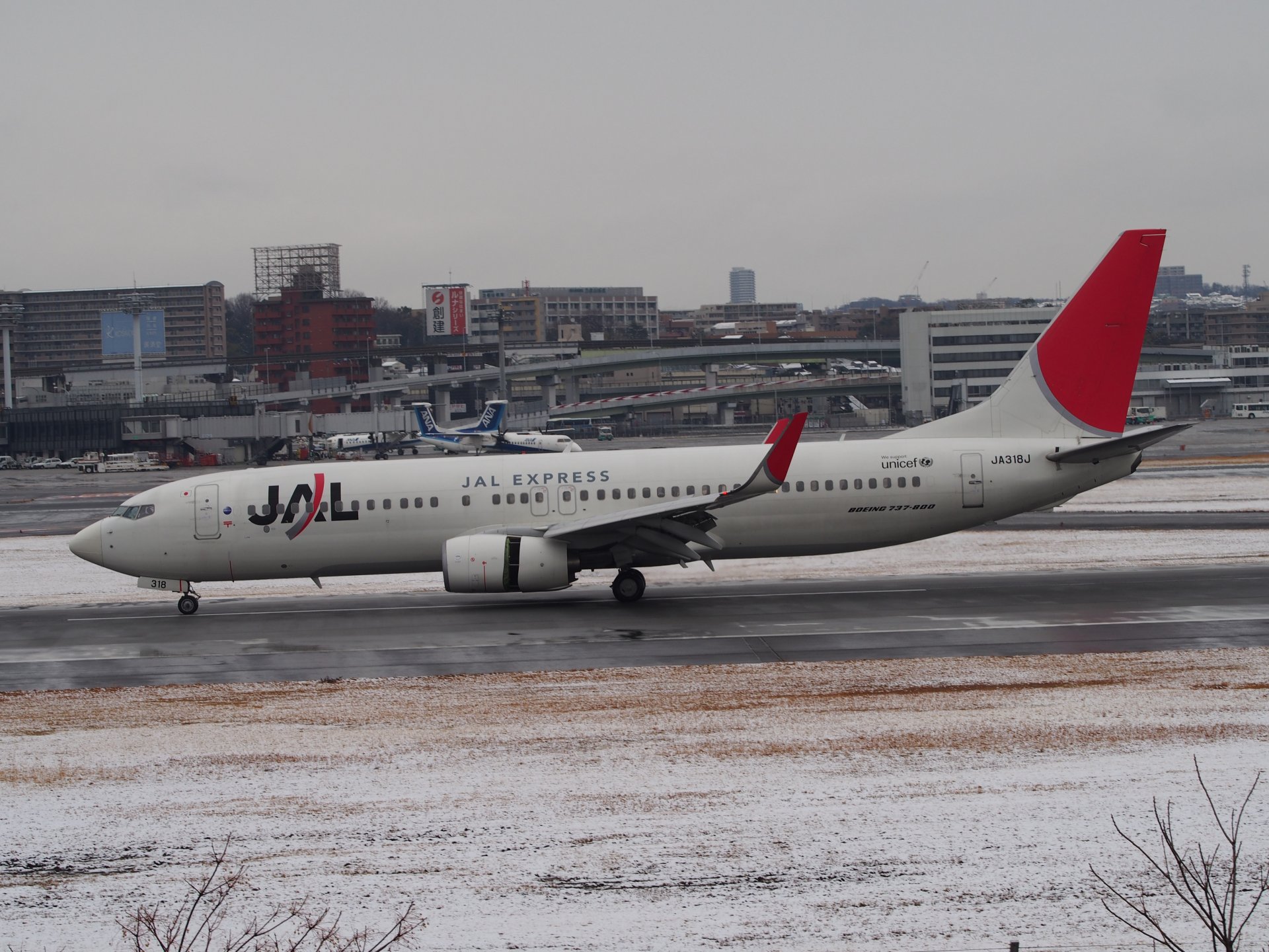 JAL B737-800(JA318J)Φ(32L)