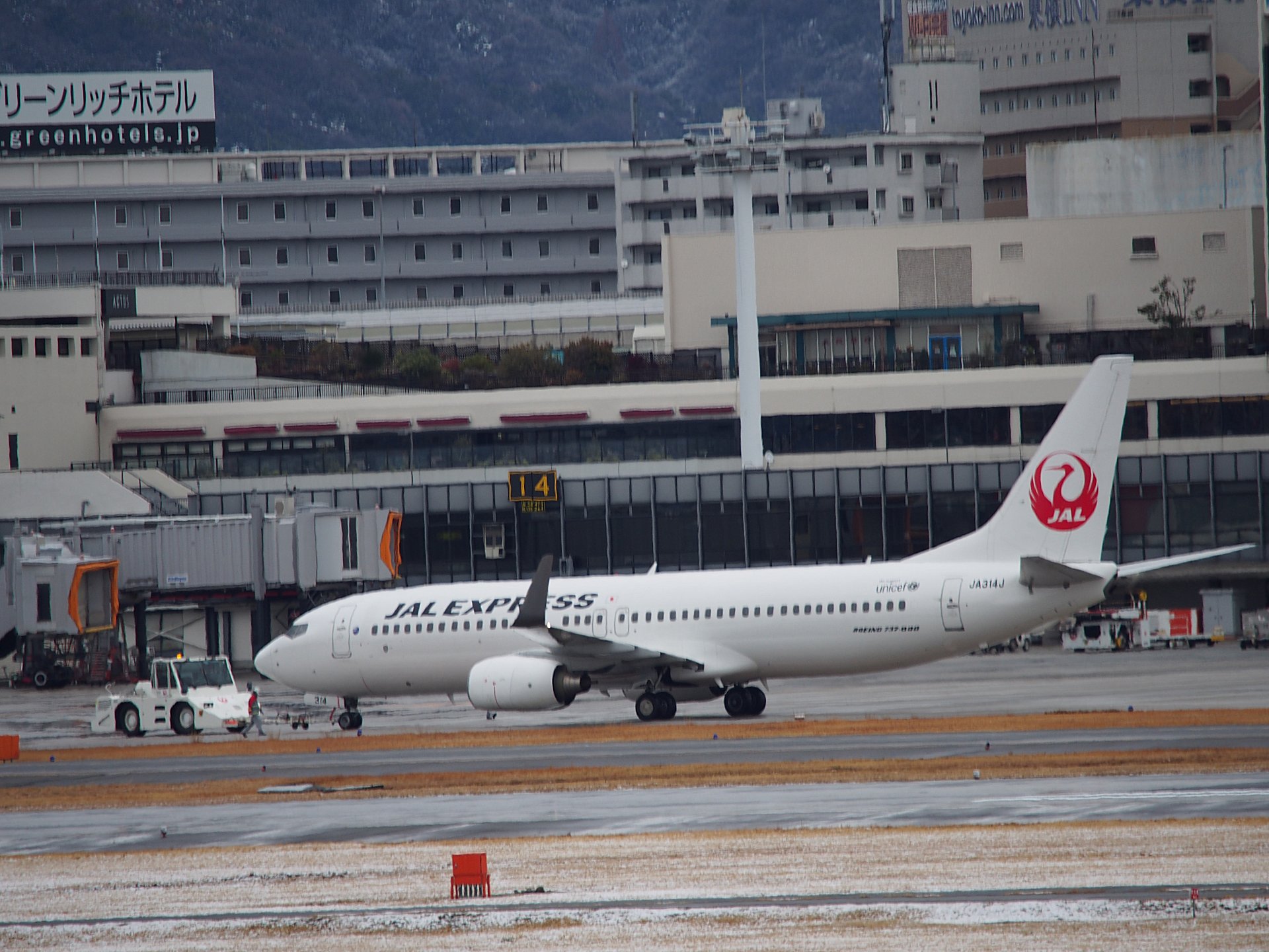 ȡ󥰤JAL B737-800(JA314J)Ǥ