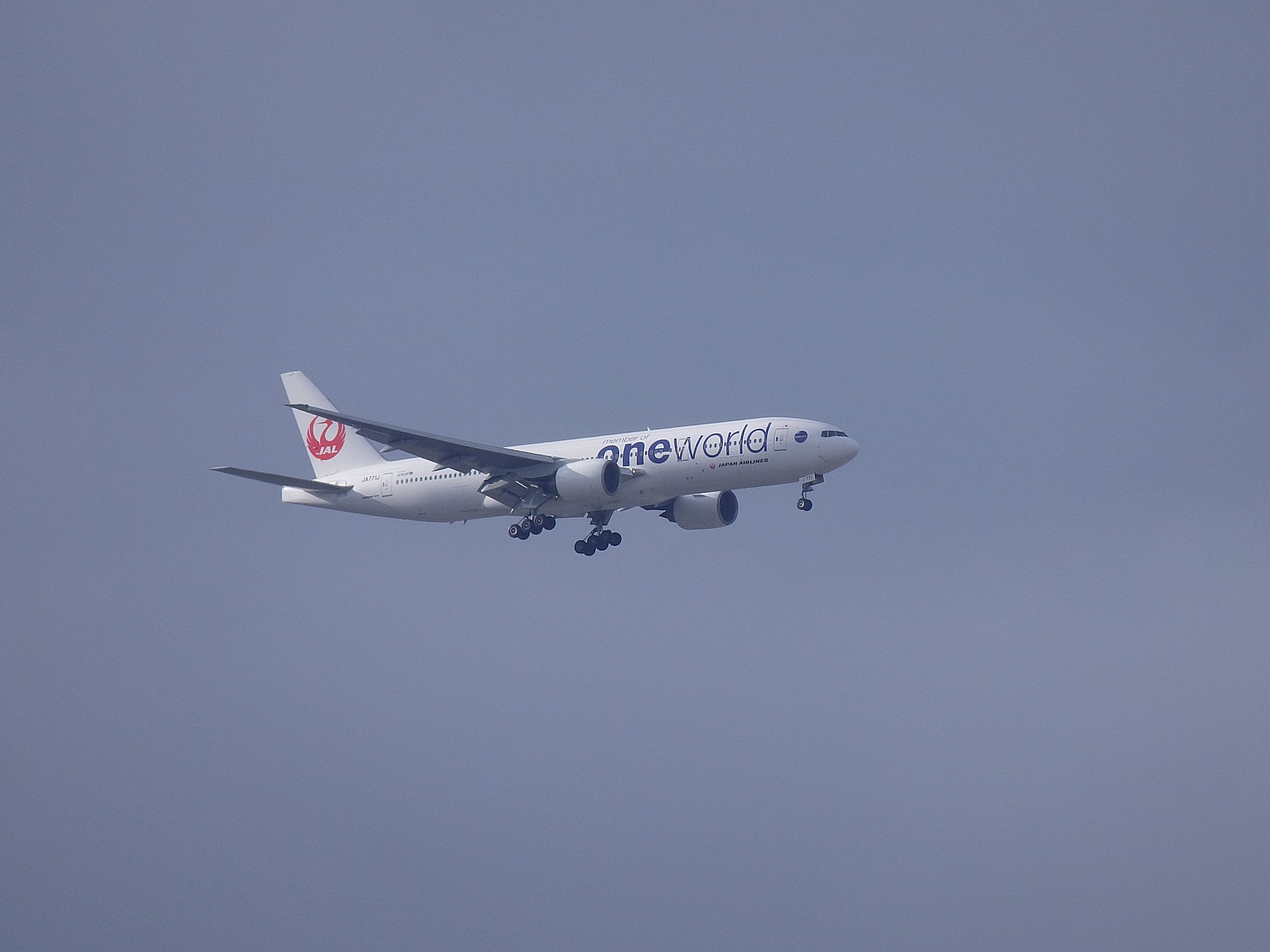 JAL OneWorld B777-246(JA771J)Ǥ