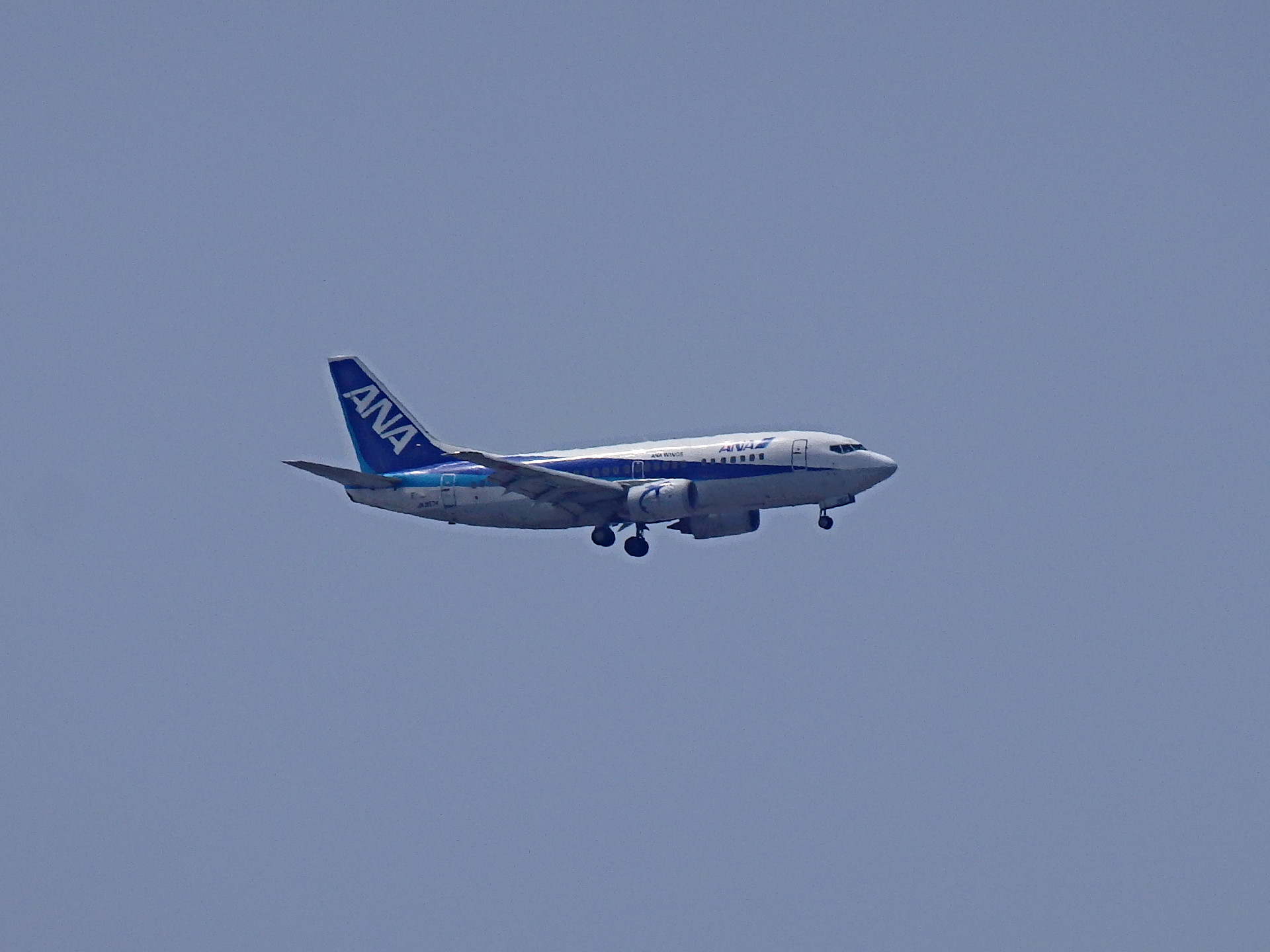 B737-500/ѡɥեǤ