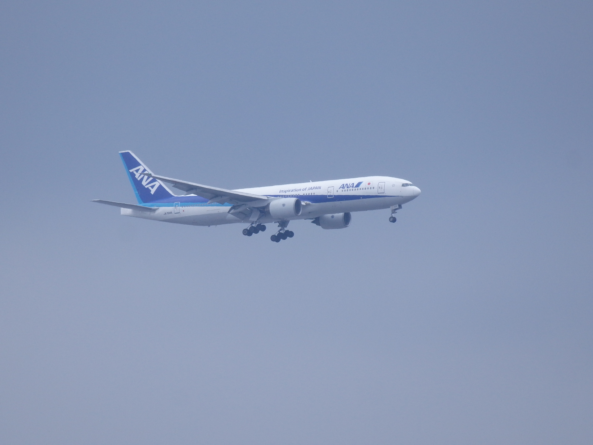 B777-281/JA704AǤ