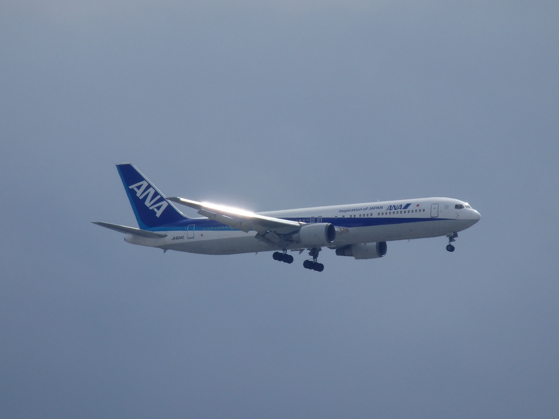 JA8342(B767-381)Ǥ