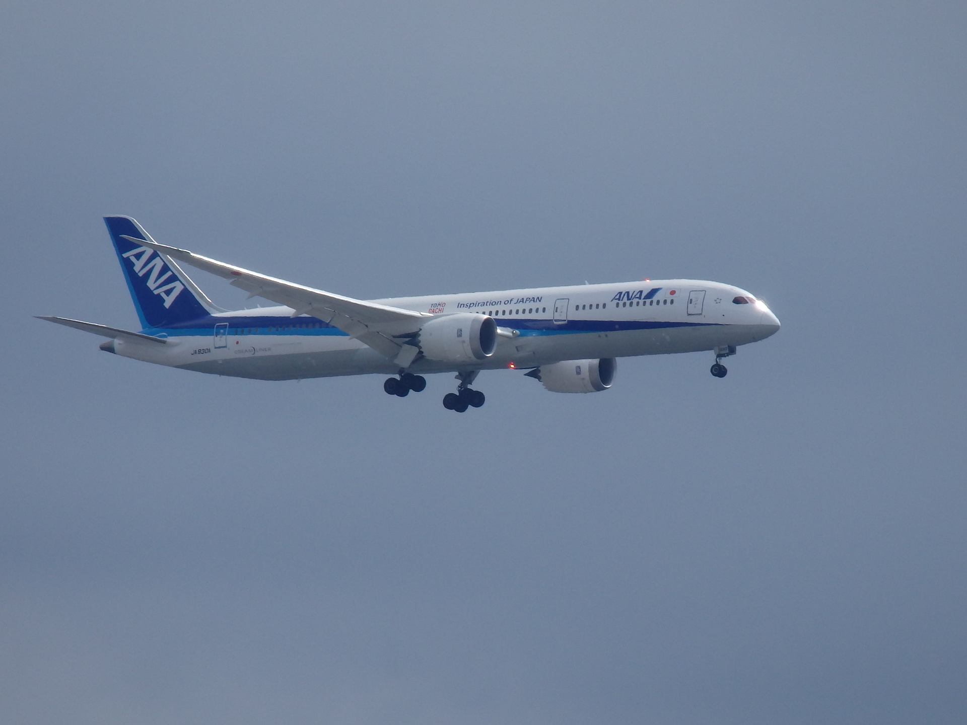 ANA025/JA830A(B787-9)Ǥ