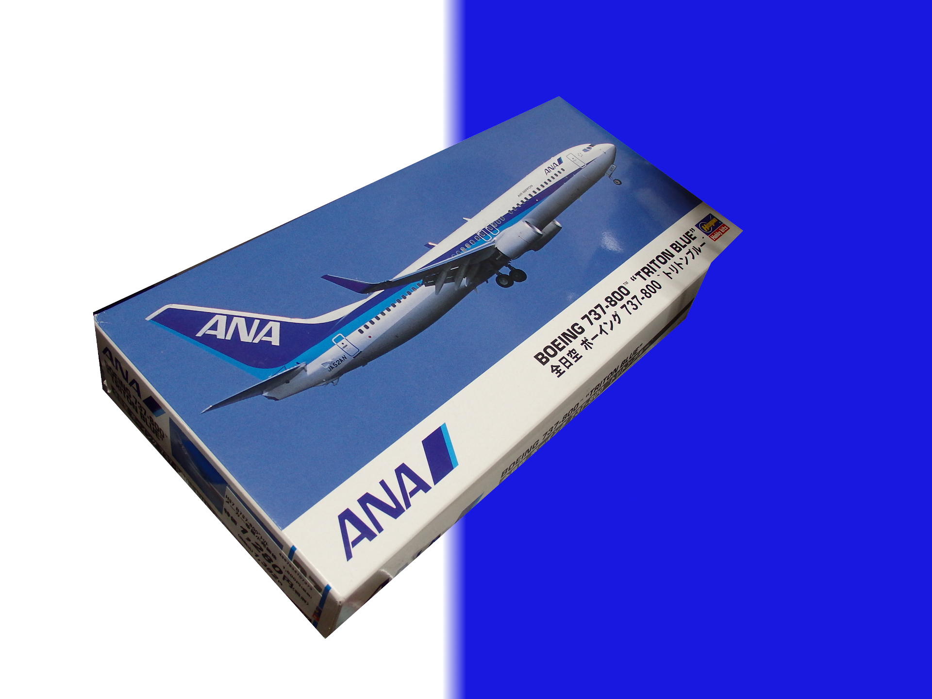 ANA B737-800ΥåȤǤ