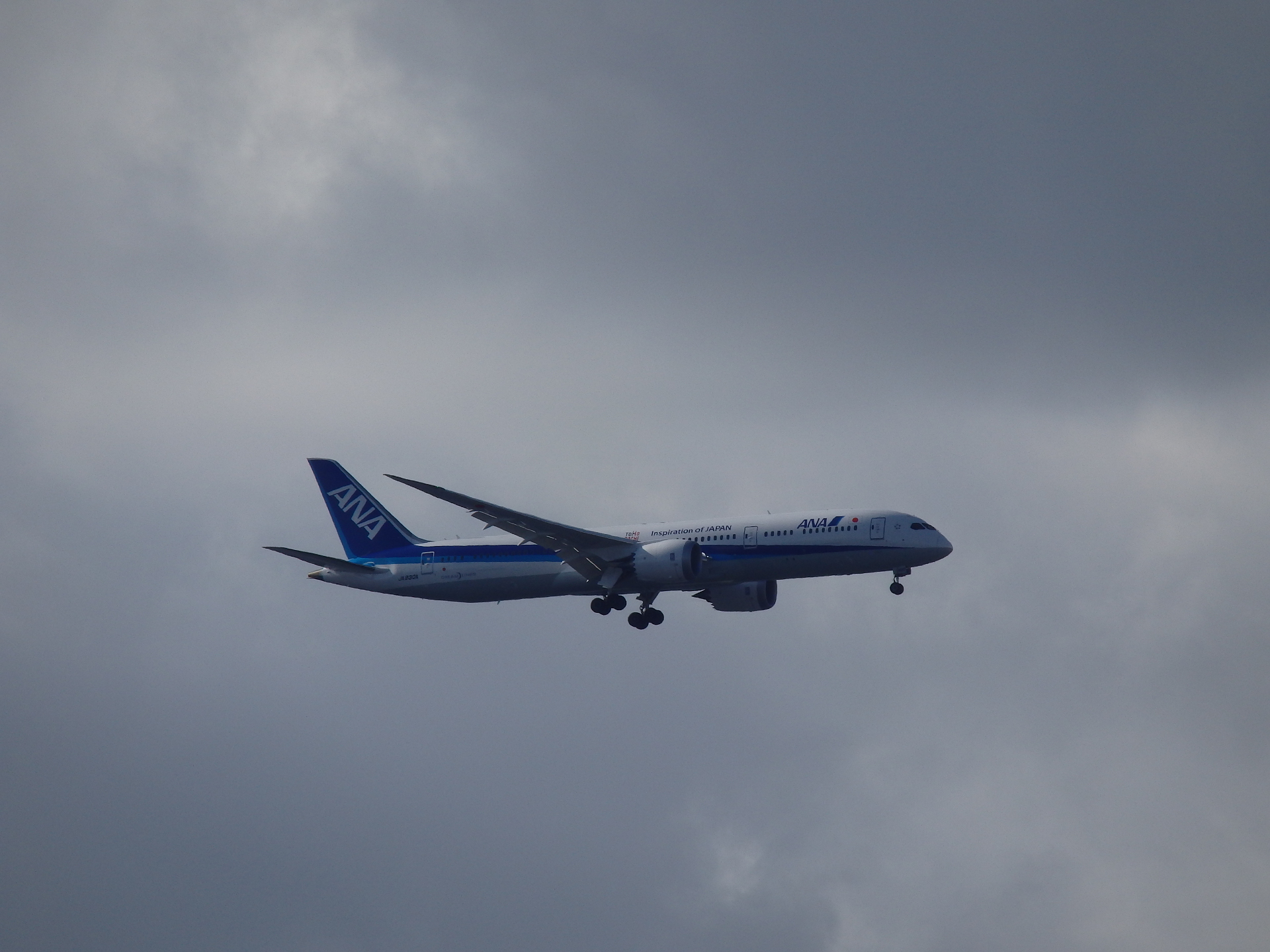 B787-9/JA830AǤ