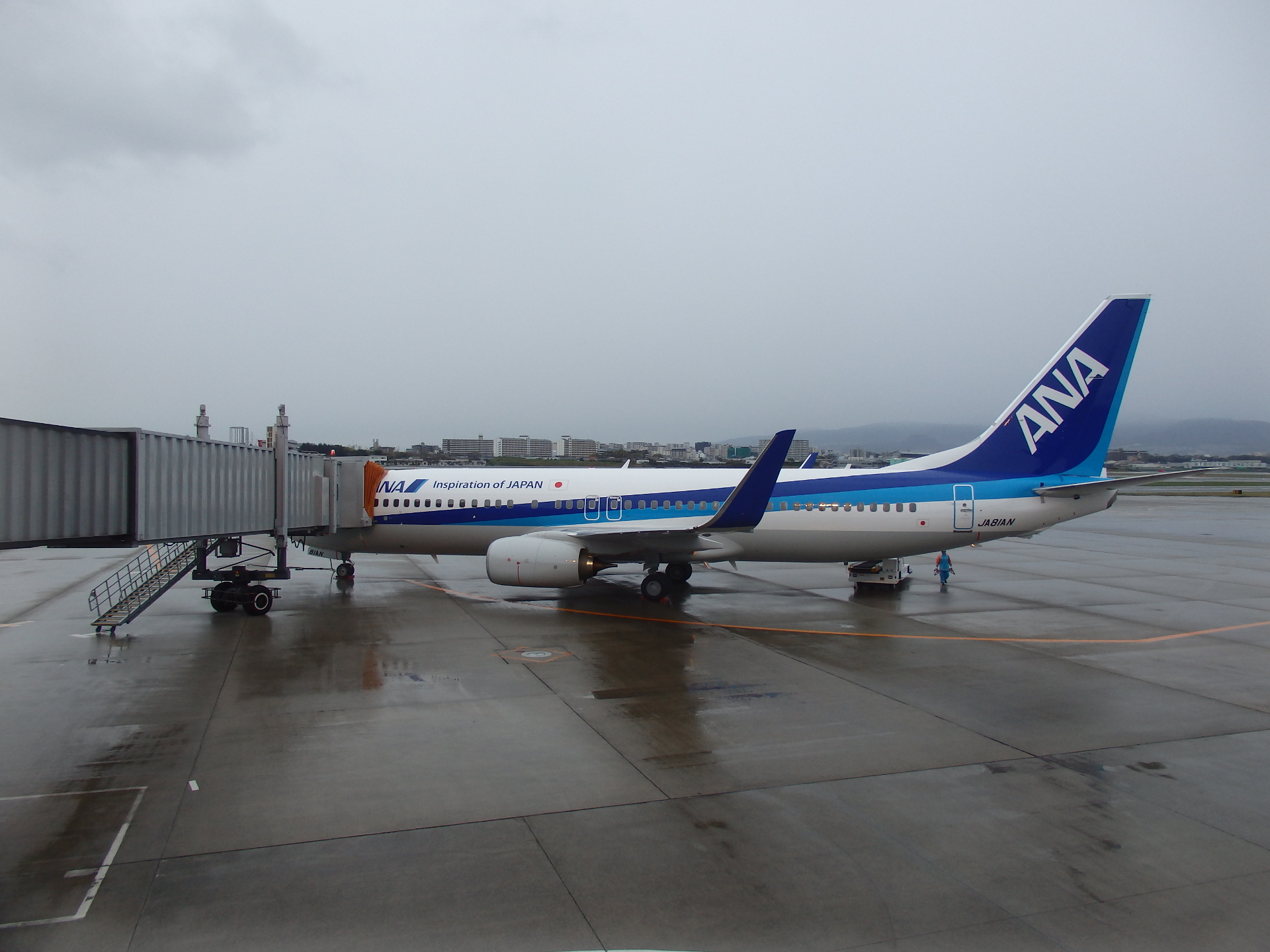 JA81AN/B737-881 ALL NIPPON AIRWAYSǤ