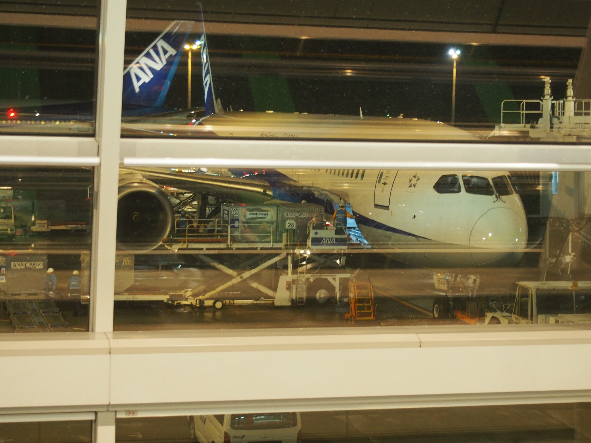 ANA041JA833A/B787-9Ǥ