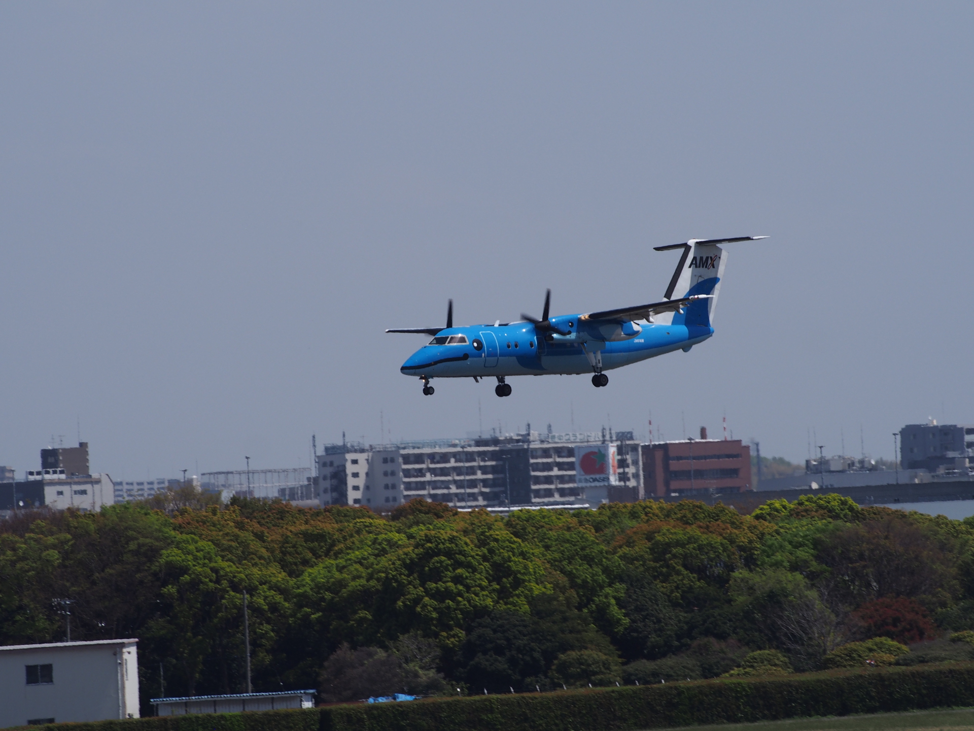 Amakusa Airline DHC-8-103Q Dash8 JA81AM MizokaǤ