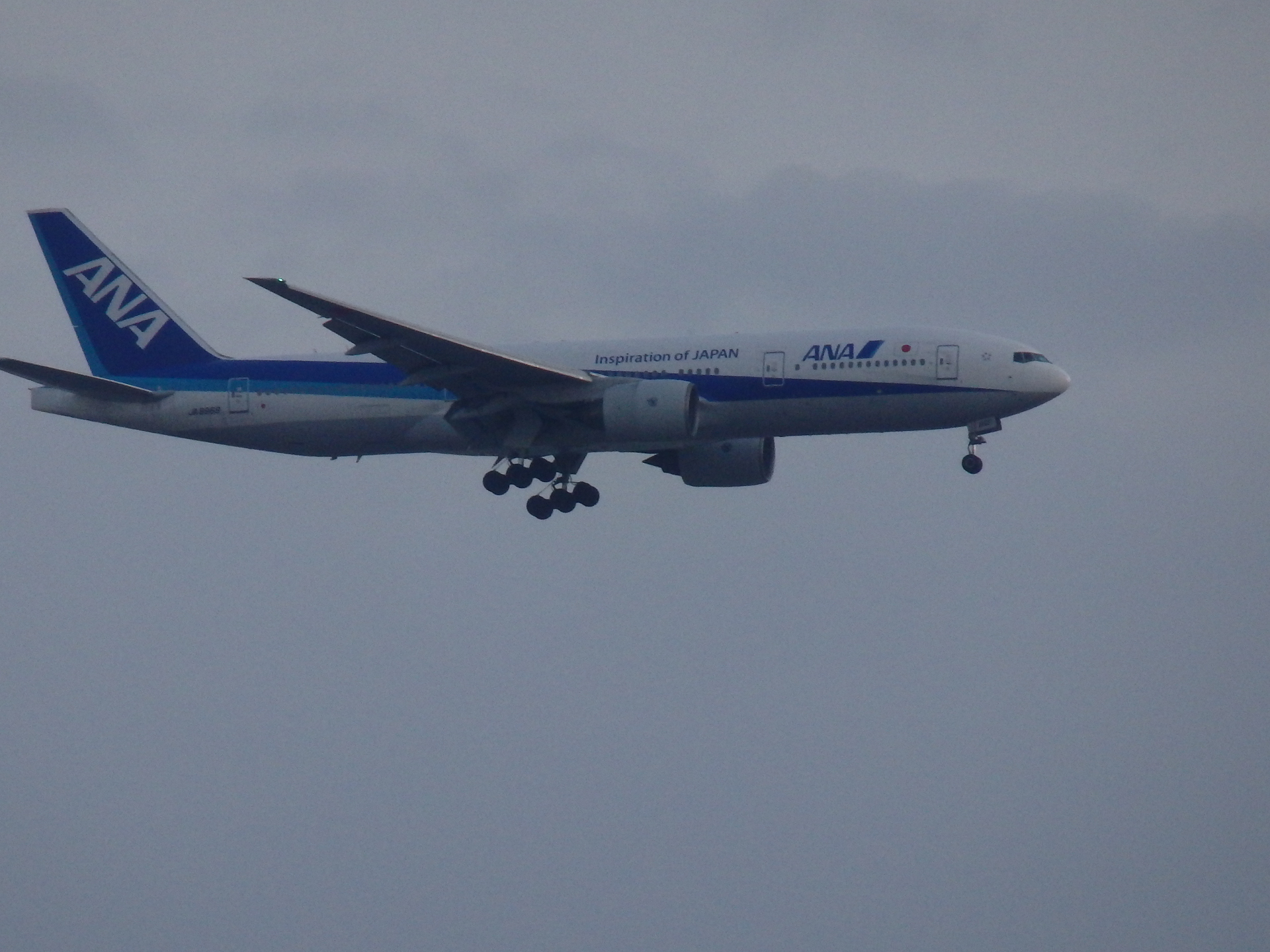 ϥץ졼󡦱ԤB777-281/JA8968Ǥ