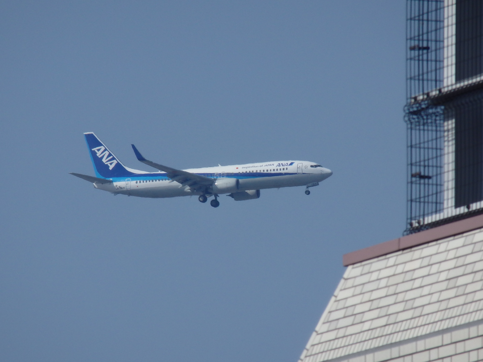 B737-881(JA72AN)Ǥ