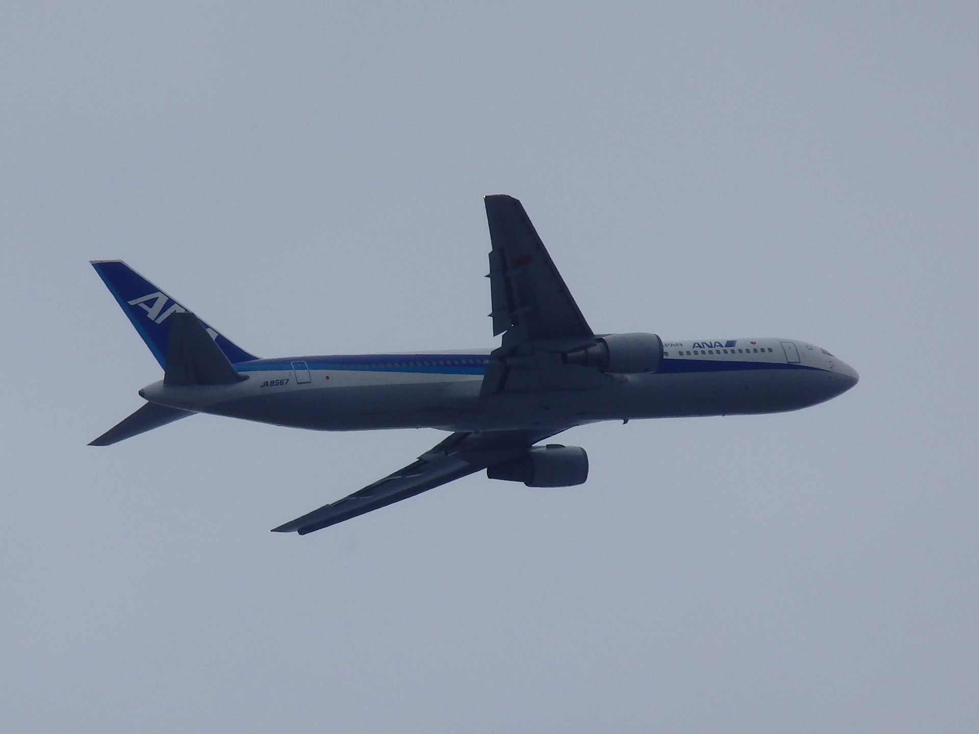 B767-381/JA8567Ǥ