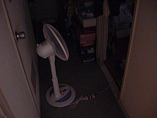 �������Υѥ���夯�ʤ�Τǡ�(^o^;)
