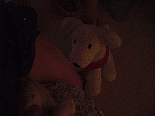 WAONに起こされしぶしぶ起きました。(^o^;) WAONに起こされしぶしぶ起きました。(^o^;)