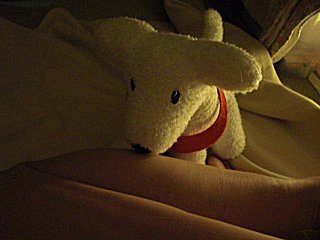寝坊していたらWAONに起こされました。(^o^;) 寝坊していたらWAONに起こされました。(^o^;)
