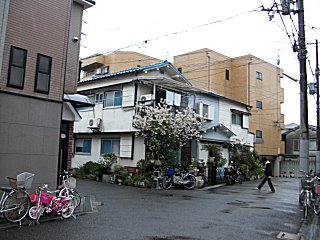 会社の近辺では桜?が開花しています。(^o^) 会社の近辺では桜?が開花しています。(^o^)