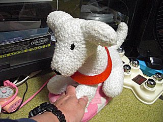 WAONはアンカから降りようとしませんでした。(^o^;) WAONはアンカから降りようとしませんでした。(^o^;)
