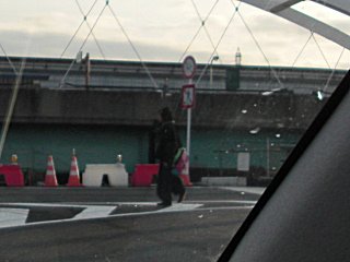 そこの鳶のお兄さん!ここは歩行通行禁止なのですが。(^o^;) そこの鳶のお兄さん!ここは歩行通行禁止なのですが。(^o^;)