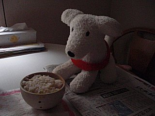 WAONと寂しく朝食です。(^o^;) WAONと寂しく朝食です。(^o^;)
