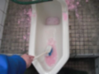 1階トイレを掃除です。私としては和便器は撤去したく思っています。(^o^;) 1階トイレを掃除です。私としては和便器は撤去したく思っています。(^o^;)