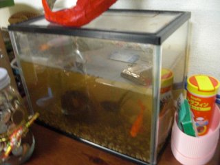 清掃前です。(^o^) 清掃前です。(^o^)