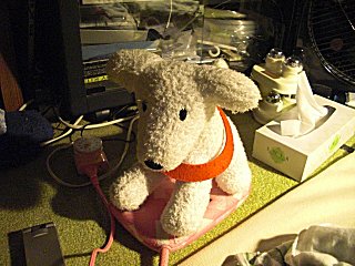 今日は子供の受験日です。(^o^) 今日は子供の受験日です。(^o^)