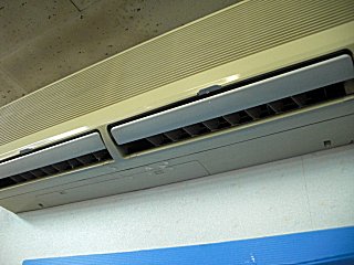 �����顼�����ϳ�졢��夫���籫�Ǥ�����