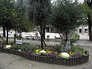 �ܥ��ƥ����β��š�(^o^)