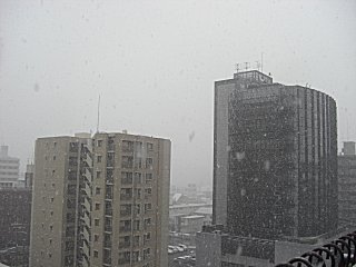 ���ϰ��̤ζ������Ȥʤ�ޤ�����(^o^)